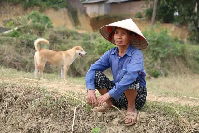 Sống sau lũ